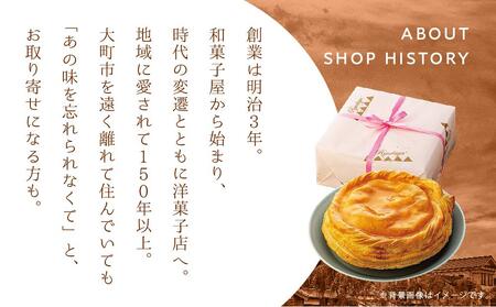 お菓子 焼菓子 アップルパイ 5号 ( 約15cm ) 1台 信州 立田屋