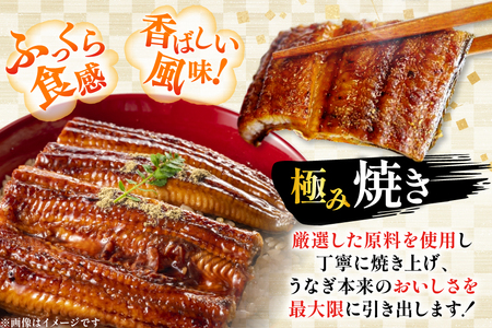 うなぎ 国産 日向極み うなぎ蒲焼 2尾 計240g以上 【たれ・山椒付き】 [日向サンパーク 宮崎県 日向市 452061502]