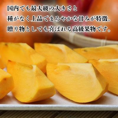 ふるさと納税 八幡浜市 《八幡浜特産 国内最大級の 柿》 富士柿 10kg 種無し【訳あり】【C20-22】 |  | 03
