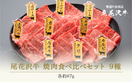 焼肉食べ比べセット 【最大3ヶ月待ち】 焼肉 尾花沢牛 A4-5 9種 約3～4人前 (牛肉 焼肉 黒毛和牛 国産 焼肉 山形牛 焼肉セット 食べ比べ焼肉セット 和牛焼肉 焼肉盛合せ 焼肉 バーベキュー 焼肉 nj-og9ys)