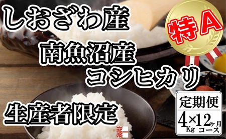 【定期便：４Kg×12ヶ月】生産者限定 契約栽培 南魚沼しおざわ産コシヒカリ