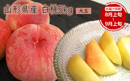 
                  《先行予約 2026年度発送》【山形県産】白桃5kg(大玉13～20玉)  もも モモ 桃 デザート フルーツ 果物 くだもの 果実 食品 山形県 FSY-0387
                