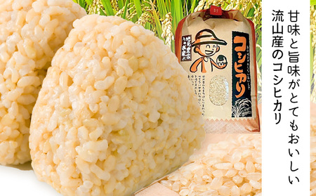 コシヒカリ 米 5kg 有機肥料 玄米