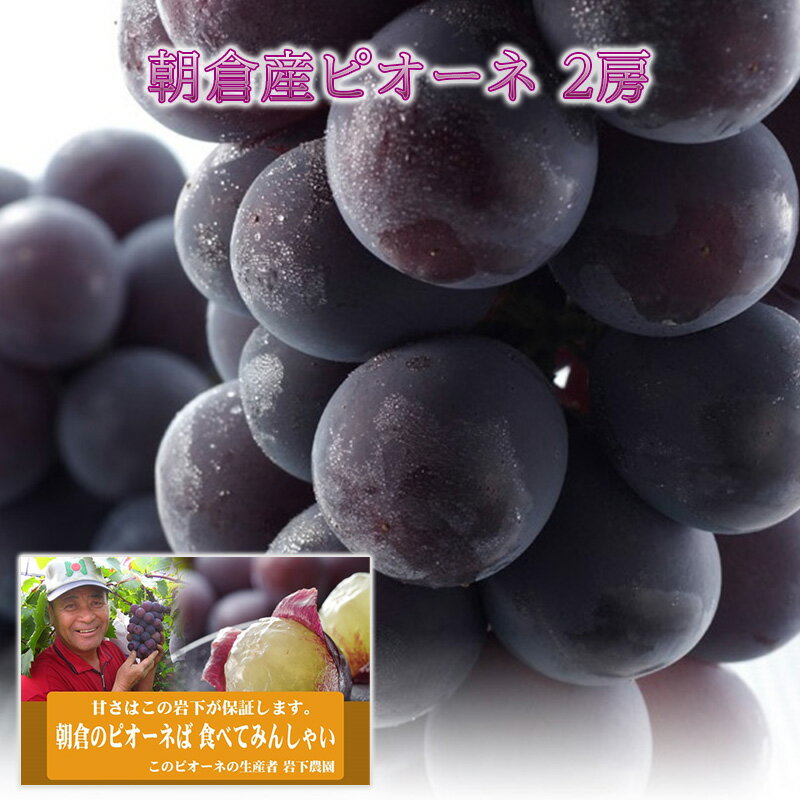 【ふるさと納税】ぶどう ピオーネ 2024年発送 2房 化粧箱入り ブドウ 葡萄 デザート フルーツ 果物 (有)ティース 配送不可：離島 　お届け：2025年7月上旬～8月上旬