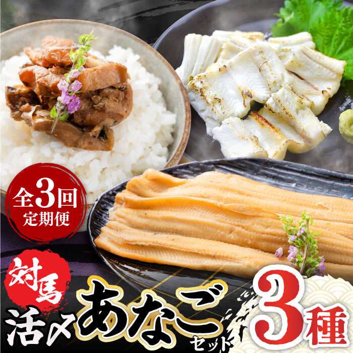 【ふるさと納税】【全3回定期便】対馬 産 活〆 あなご セット《対馬市》【対馬地域商社】九州 長崎 煮あなご 佃煮 アナゴ[WAC018] 37000 37000円