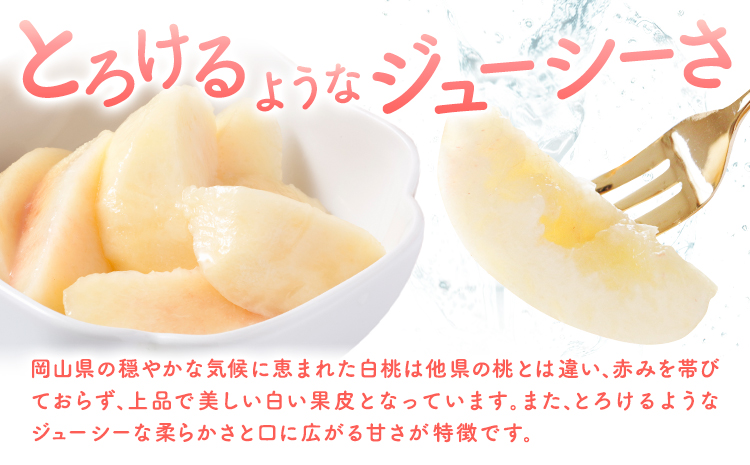 【先行予約】岡山の白桃2回コース 6玉 (1.6kg以上) 株式会社山博 (中本青果)《1回目：2025年7月上旬から7月中旬頃出荷 2回目：2025年7月下旬から8月上旬頃出荷》岡山県 浅口市 桃 