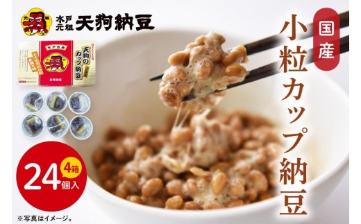 【天狗納豆】国産小粒カップ納豆（50ｇ×6個）×4箱【納豆 なっとう 小粒 老舗 朝食 ご飯 ご家庭用 ストック ソウルフード 水戸市 水戸 茨城県】（DQ-17）
