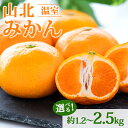 【ふるさと納税】【先行予約】山北温室みかん 約1.2kg/約2.5kg - 秀品 果物 くだもの フルーツ 柑橘 ミカン 蜜柑 甘い おいしい 選べる 贈り物 ギフト 産地直送 特産品 旬 季節 国産 自宅用 おすそ分け 果実 御礼 お礼 内祝い 期間限定 のし対応 高知県 香南市【常温】