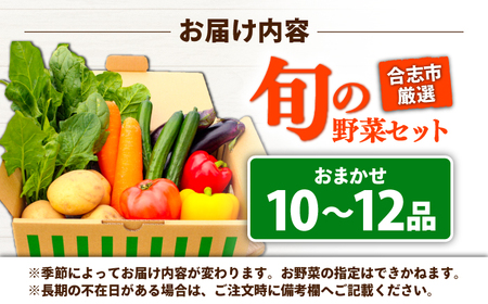 合志の旬のお野菜セット 10?12品【一般社団法人クラッシーノこうし】[AYAB008]