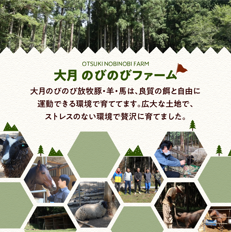 【希少豚】 大月のびのび放牧豚 【バラ肉スライス】 900g (300g×3)