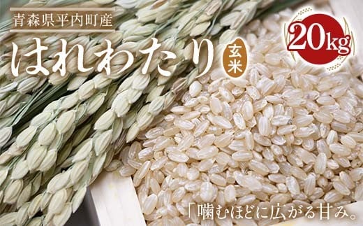 青森県 平内町産 お米 はれわたり 20kg （玄米） 白米 米 お米 おこめ コメ ご飯 ごはん ブランド米 特A 東北 青森県 F21J-283