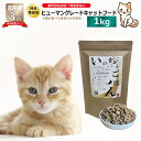 【ふるさと納税】【定期便】国産 無添加 キャットフード いのちのごはん 1kg×全3回【毎月配送】上質な鶏 新鮮野菜 果物 健康 ヒューマングレード グルテンフリー ノンオイル 素材の味 保存料不使用 栄養バランス 高タンパク ビタミン ミネラル 大阪府 泉佐野市 送料無料