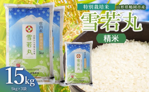 【令和8年産 新米】 斎藤農場の特別栽培米 雪若丸 精米 15kg（5kg×3袋） 山形県鶴岡市 [K-8120] | ゆきわかまる 15キロ 米どころ 庄内米 ブランド米 米 コメ こめ 精米 ご飯 ごはん 美味しい お取り寄せ 農家直送 東北 山形 鶴岡市 国産 おすすめ 人気 返礼品