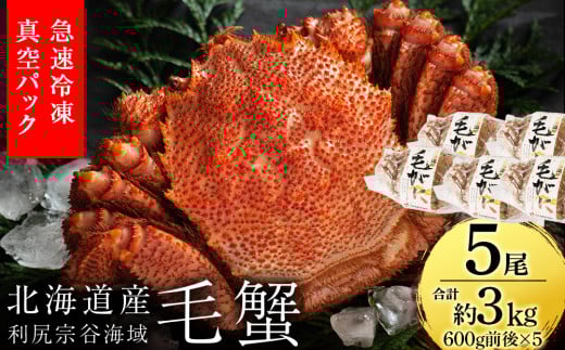 北海道 利尻・宗谷産 毛ガニ 中サイズ（600g前後）5尾セット＜利尻漁業協同組合＞
