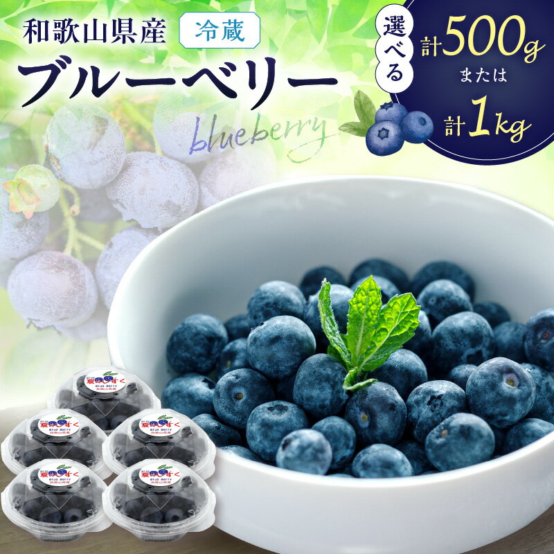 【ふるさと納税】冷蔵ブルーベリー 500g 1kg　《期間限定》