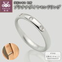 【ふるさと納税】 リング 指輪 ダイヤモンド ジュエリー レディース アクセサリー 0.06ct 天然 プラチナ950 シンプル ギフト プレゼント ケース付 保証書付 k290-017