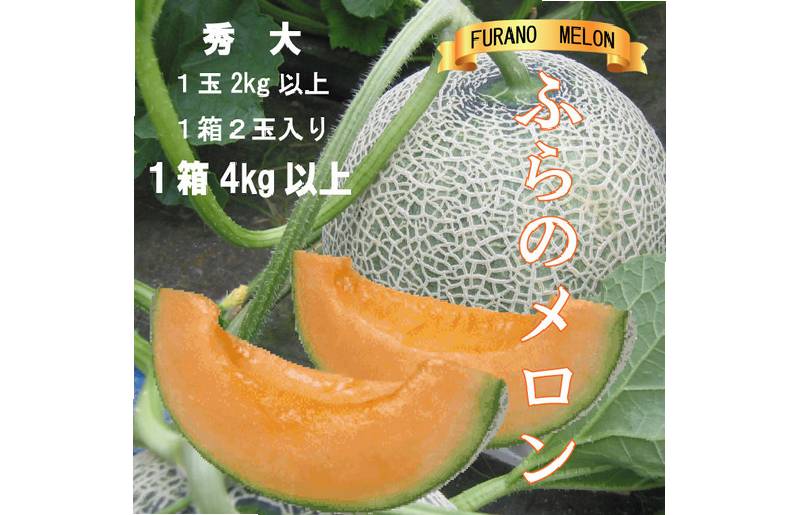 2026年夏発送【先行受付】 ふらのメロン 赤肉 秀大2玉［1玉2kg以上］計4kg以上 富良野メロン 赤肉 めろん 北海道 甘い 大きい 果物 フルーツ