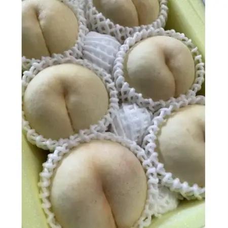 【先行予約】岡山の白桃・約2kg(5～9玉)7月下旬頃から9月上旬頃発送予定【配送不可地域：離島】【1742048】