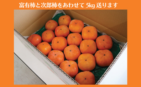 柿 贈答用 5kg 【富有柿 と 次郎柿】