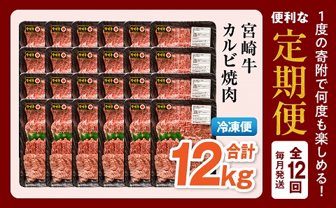 【定期便全12回】宮崎牛 カルビ焼肉 合計1kg