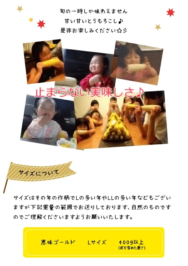 【令和8年産先行予約】朝採りとうもろこし 恵味ゴールド L-LLサイズ 10本【27001】