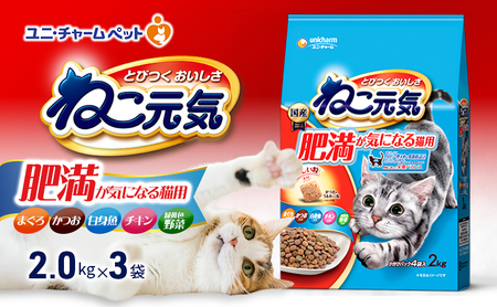 ねこ元気 肥満が気になる猫用 まぐろ・かつお・白身魚・チキン・緑黄色野菜入り 2.0kg×3袋 ペットフード キャットフード 猫のごはん 猫用フード 猫 ペット ドライ ユニ・チャーム ペット ユニ・ケアー