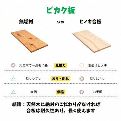 ふるさと納税 あま市 ビカクシダ板　SeamBoard A型　Mサイズ |  | 02