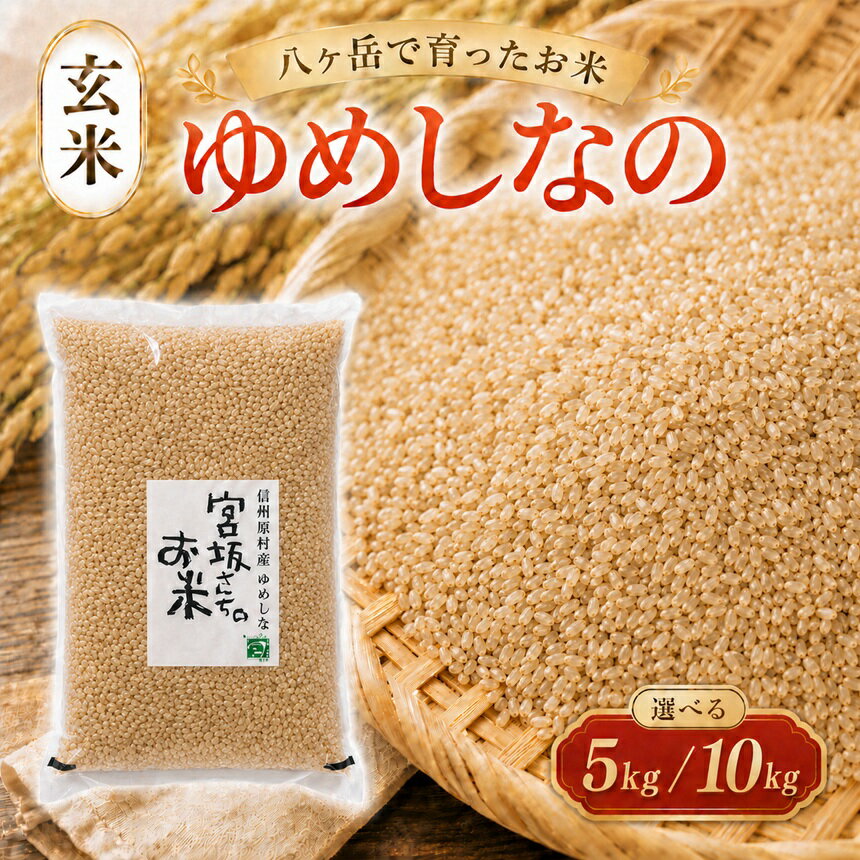 【ふるさと納税】 八ヶ岳で育った 玄米 ゆめしなの 5kg or 10kg お米 | 令和7年産 米 お米 玄米 甘み もちもち 信州 八ヶ岳 長野県 諏訪郡 原村