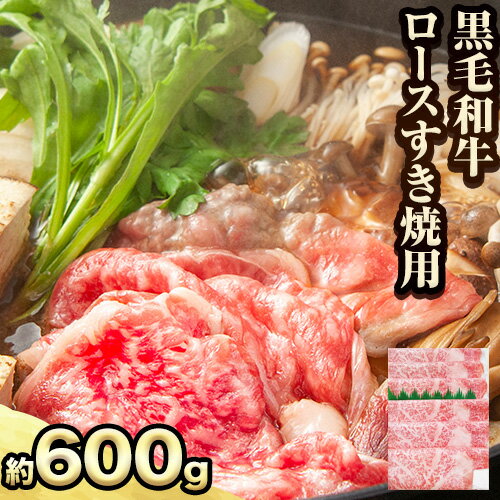 【ふるさと納税】萬野総本店 国産 黒毛 和牛 ロース すき焼用 約600g《30日以内に出荷予定(土日祝除く)》大阪府 羽曳野市 牛肉 惣菜 おかず しゃぶしゃぶ すき焼き 鍋 霜降り【配送不可地域あり】