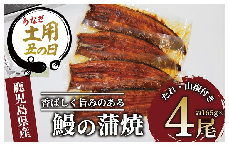 【丑の日に合わせてお届け！】鹿児島県産鰻の蒲焼(無頭背開き)約165g×4尾(山中水産/033-1066u)