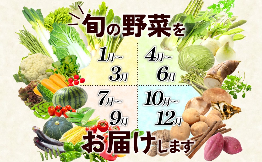 特別栽培季節のお野菜セット 8品