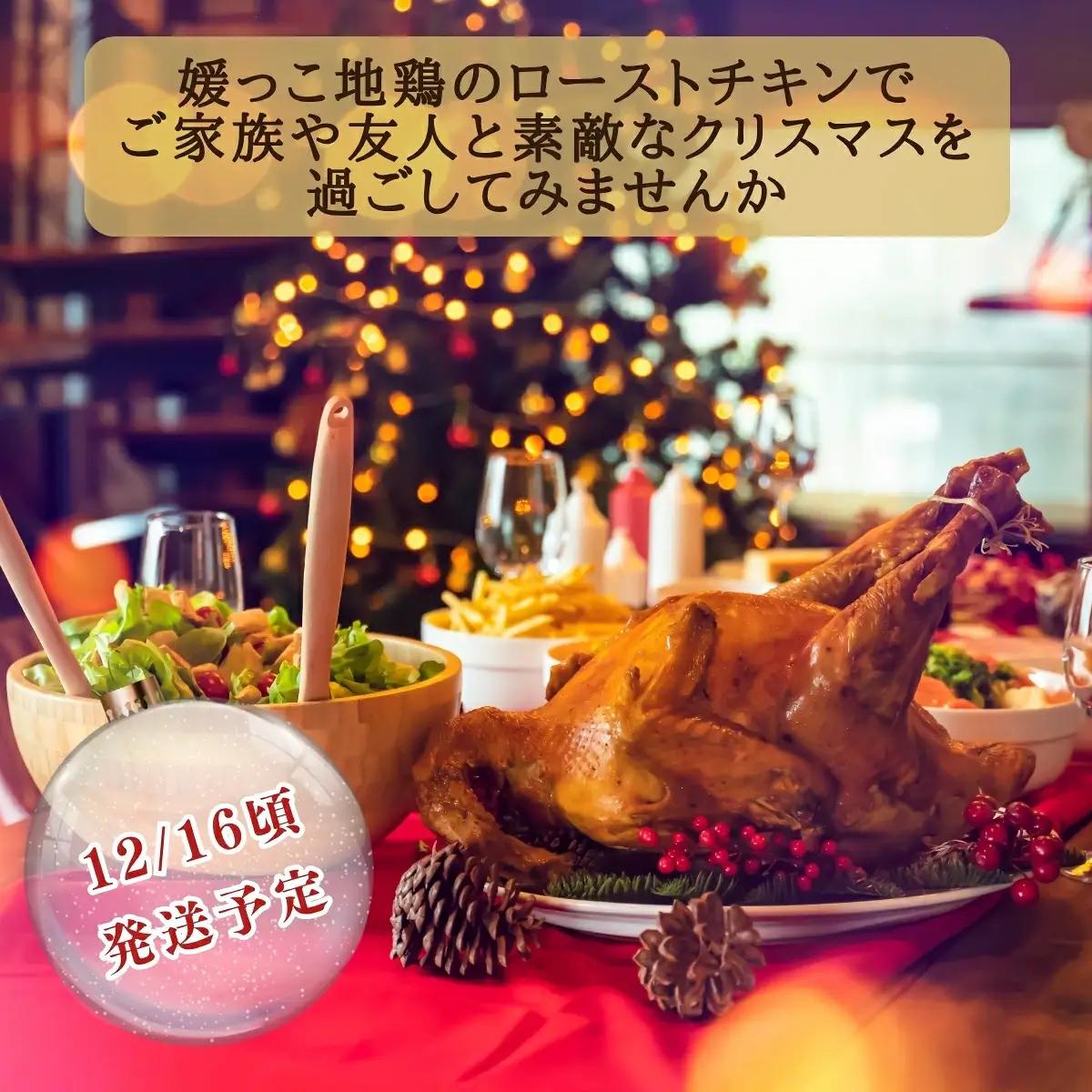 【 2026年 クリスマス 先行予約 】 媛っこ地鶏 丸鶏 約 1.8kg まるごと 鶏肉 鳥肉 肉 チキン むね肉 もも肉 クリスマス ローストチキン ごちそう 愛媛県 愛南町 ローカルスタンダード