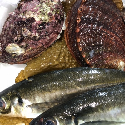 【2ヵ月毎定期便】竹中水産の大アワビ(400g)+アジ又は小鯛付き400g【H22-288】全3回【配送不可地域：離島・北海道・沖縄県】【4076449】