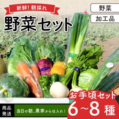 ふるさと納税 日吉津村 新鮮朝採れ野菜　お手頃セット