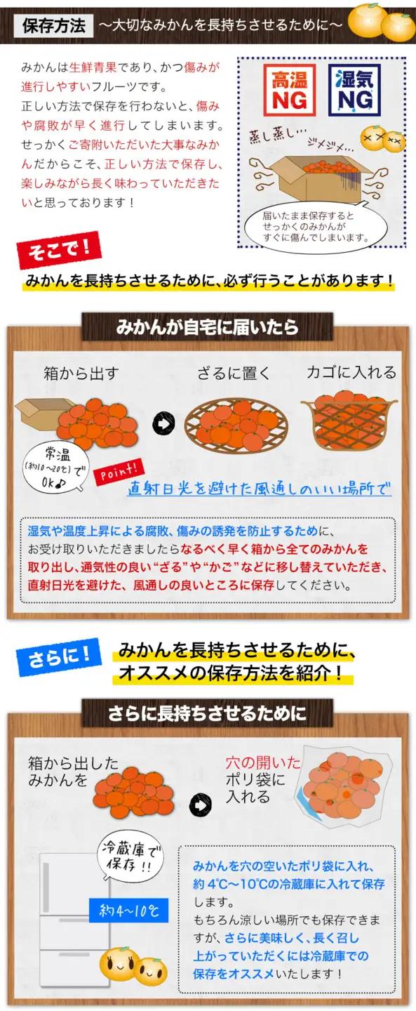 みかん 由良 早生 みかん 約3kg エイワ商店