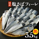 【ふるさと納税】さば 〈 訳あり 〉 国産 塩さば フィーレ 3.5kg 冷凍 さば 切身 フィレ 鯖 わけあり 不揃い 急速冷凍 新鮮 魚 青魚 鯖フィレ サバフィーレ 塩鯖 さば 切り身 焼き魚 焼魚 おかず 宮城県 石巻市