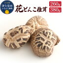 【ふるさと納税】最高級 大分県産 花どんこ椎茸 260g / 380g 干し椎茸 乾しいたけ 原木椎茸 しいたけ シイタケ 九州産 津久見市 国産 送料無料／熨斗対応可 お歳暮 お中元