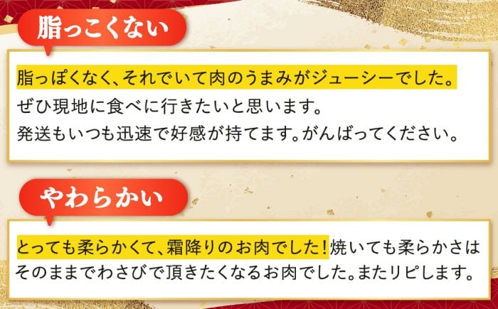 A5ランク 長崎和牛  サーロインステーキ  約150g×2枚 サーロイン さーろいん 和牛 サーロインステーキ ステーキ