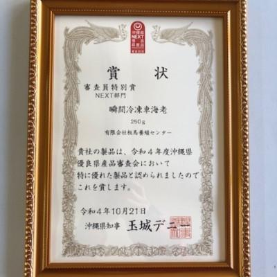 ふるさと納税 南城市 瞬間冷凍ブランド車海老「板馬エビイチ」Lサイズ 500g |  | 03
