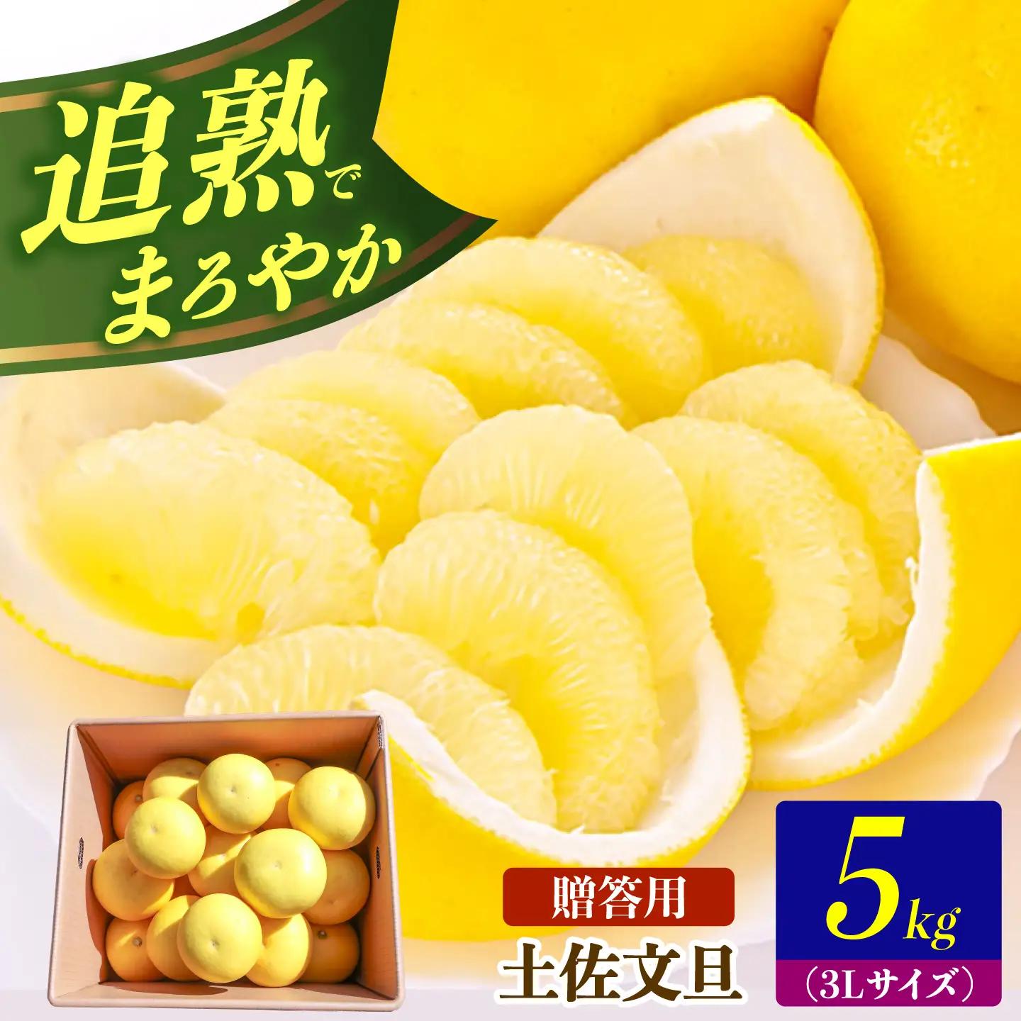 【先行予約】土佐文旦の創始 宮地文旦園の土佐文旦 贈答用3L 大玉 約5キロ 7~9個入り 5kg〈2027年3月上旬～4月下旬〉  高知県 土佐市【宮地文旦園】[BQBP003]