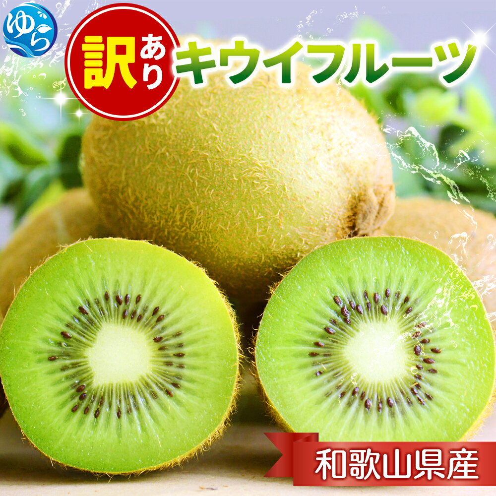 【ふるさと納税】 キウイ 家庭用 / キウイフルーツ 訳あり 和歌山 くだもの 1kg 5kg 6000円 ※2026年11月中旬より2027年4月下旬頃順次発送予定 ※北海道・沖縄・離島への配送不可