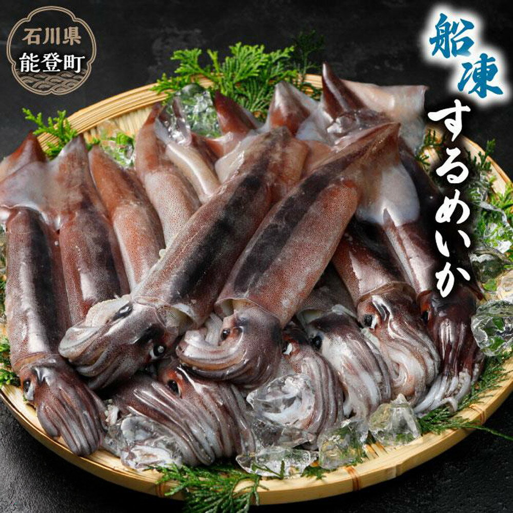 【ふるさと納税】【復興支援】船凍するめいか 《選べる数量》6杯（約1.2kg）/10杯（約2kg）/20杯（約4kg）　小分け 個包装 刺し身 海産物 魚介類 獲れたて 急速冷凍 新鮮 刺身 さしみ 烏賊 人気 おすすめ ご当地グルメ カルパッチョ パスタ いかめし 煮物
