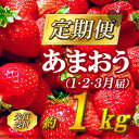 【ふるさと納税】 先行 予約 福岡県産 あまおう 定期便 3回 お届け 1月 2月 3月 いちご 2G3