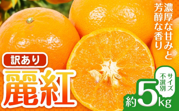 
                  【先行予約】訳あり 麗紅 (れいこう) 約5kg みかん サイズ不選別 どの坂果樹園《2027年2月中旬-3月下旬頃出荷予定》 和歌山県 日高町 旬 果物 フルーツ 柑橘 蜜柑 送料無料 規格外 傷あり
                