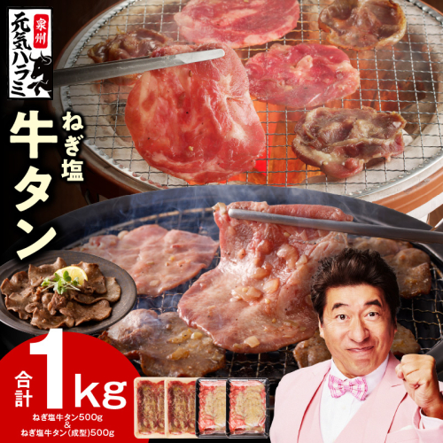 ねぎ塩 牛タン 食べ比べセット 合計 1kg（牛タン 500g／成型牛たん 500g）【焼肉用 焼くだけ 小分け BBQ やきにく】 G1808