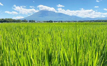 【2024年11月発送開始】 新米 つきあかり 精米 10kg （5kg×2袋） ／ 白米 米 産地直送 農家直送 【中沢農産】