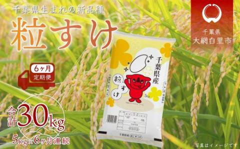 ＜6ヶ月定期便＞千葉県産「粒すけ」5kg×6ヶ月連続 計30kg A030