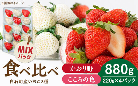 【R8年1月以降発送】こころの色×かおり野ミックス 紅白いちごセット 計880g（220g×4パック） 【Strawberryfarm-K】  紅白いちご 希少 いちご 果物 フルーツ かおり野 セット [IBJ029][IBJ029]