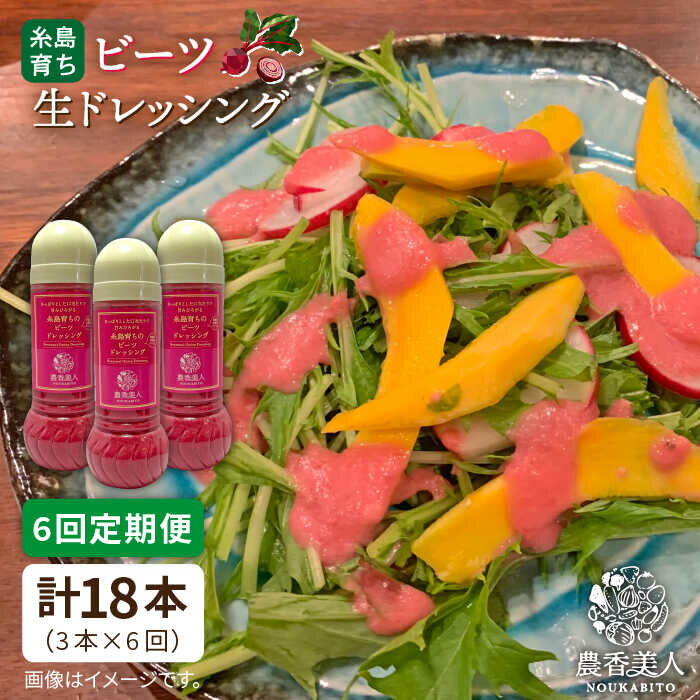 【ふるさと納税】【全6回定期便】糸島そだちのビーツドレッシング×3本セット糸島市 / 農香美人 [AAG031] 66000 66000円