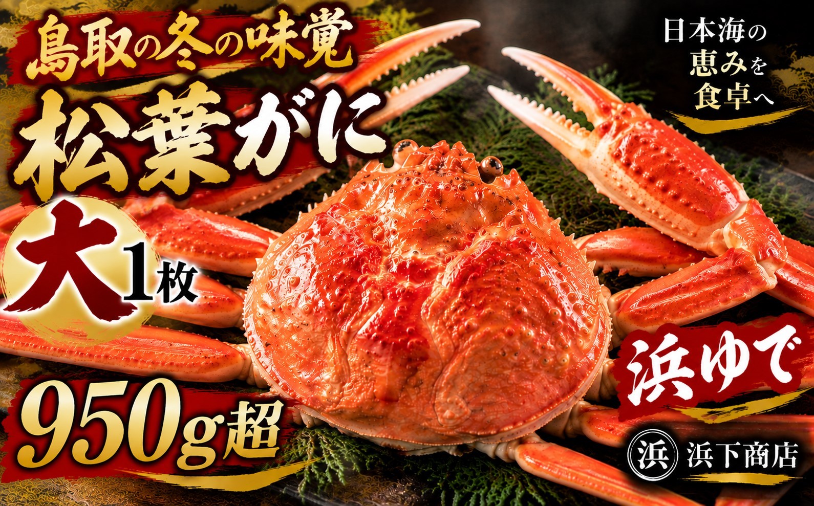 
                  53M.■浜下商店■松葉ガニ大1枚〔浜ゆで〕
                